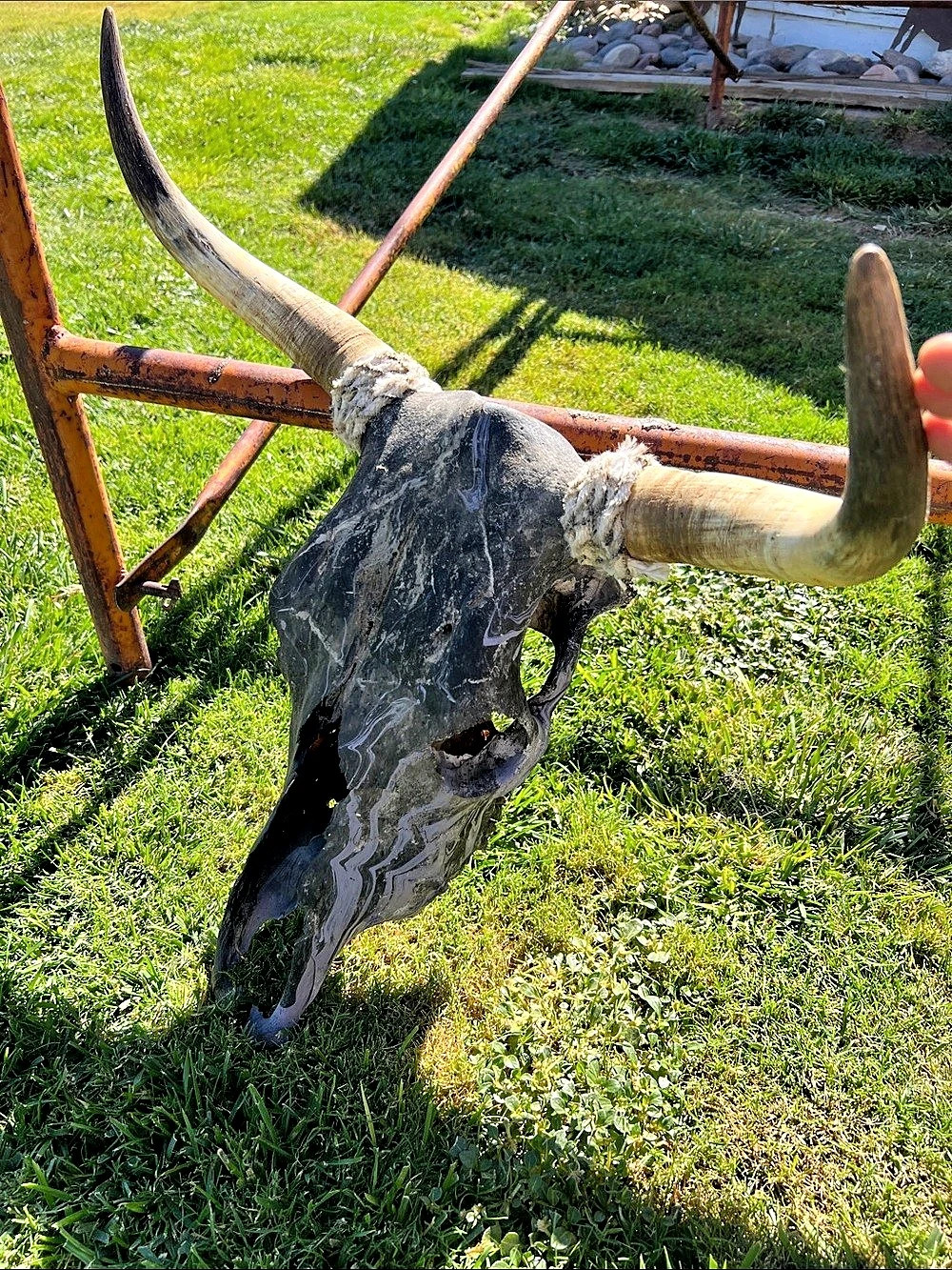 Longhorn Skull Wall Decor